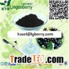 Black currant extract