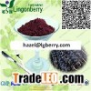 Acai berry extract