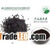 Black Rice P.E.