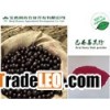 Brazilian berry powder