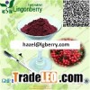 Chokeberry extract
