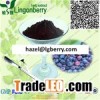 Blueberry Pterostilbene