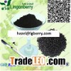 Black Rice Extract