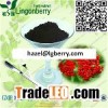 Wild Elderberry Extract