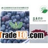blueberry powder