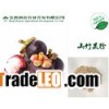 mangosteen fruit powder