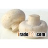 Wild white mushroom extract