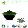 chlorella extract,chlorella extract powder,chlorella algae