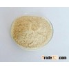 Panax ginseng Extract