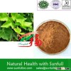 Ivy Extract
