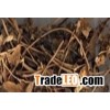 5:1 10:1 20:1 Dutchmanspipe Vine Northern Dutchmanspipe Vin