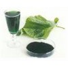 sodium copper chlorophyllin(sophie@healthynaturalcolor.com)
