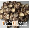 Shiitake mushroom Extract 10-30%polysaccharides