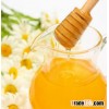 Alfalfa Honey harvest 2012 pure nature fresh Honey