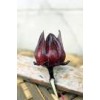 roselle red(sophie@healthynaturalcolor.com)