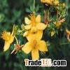 St. John's Wort Extract-Hypericum Perforatum