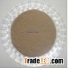 yeast powder
