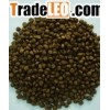 Fish Feed