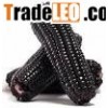 purple corn color (sophie@healthynaturalcolor.com)