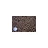 Carp Feed
