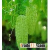 Bitter Melon Extract