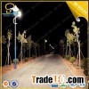 2015 the best 30W LED street light pole with 6M Pole for city
