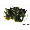 season konbu 500g