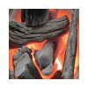 Binchotan Charcoal