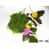 frezen seaweed salad