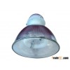 highbay light