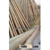 bamboo,bamboo poles/sticks/tonkin pole