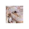 Dried Small Shrimp