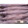 frozen pacific mackerel
