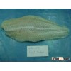Catfish (Pangasius) Fillet, Light Yellow Meat, Well-trimmed