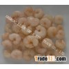 IQF Frozen Shrimp Pud