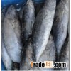 frozen bonito