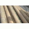 petung bamboo, big bamboo poles