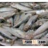 frozen sardine