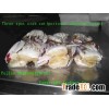 Cut Crab