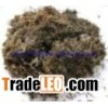 Dried Sargassum seaweed