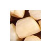 Scallop