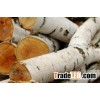 Dry birch firewood in bags