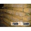 bamboo canes, bamboo poles