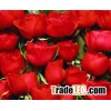 Fresh Cut Roses Available...