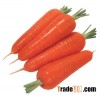 Fresh Carrot