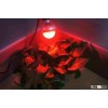 LED grow light