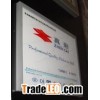 LED slim light box