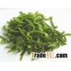 IQF GREEN PEPPER SLICE