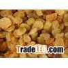 Bakery ingredients (DRIED FIGS, RAISINS)