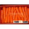 fresh carrot